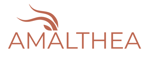 AMALTHEA Project Launches to Advance Gender-Sensitive Approaches in Preventing and Countering Radicalisation activities and Extremism