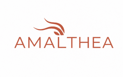 AMALTHEA Project Launches to Advance Gender-Sensitive Approaches in Preventing and Countering Radicalisation activities and Extremism